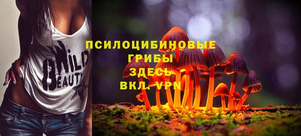 соль курить ск Карпинск