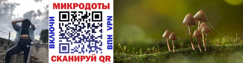 Купить  Астрахань  Галлюциногенные грибы мухоморы 